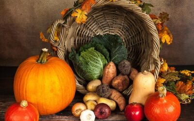 7 Homeowners Insurance Tips for Thanksgiving