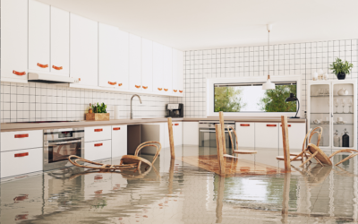 Understanding Your Flood Insurance Policy In Lynnwood, WA